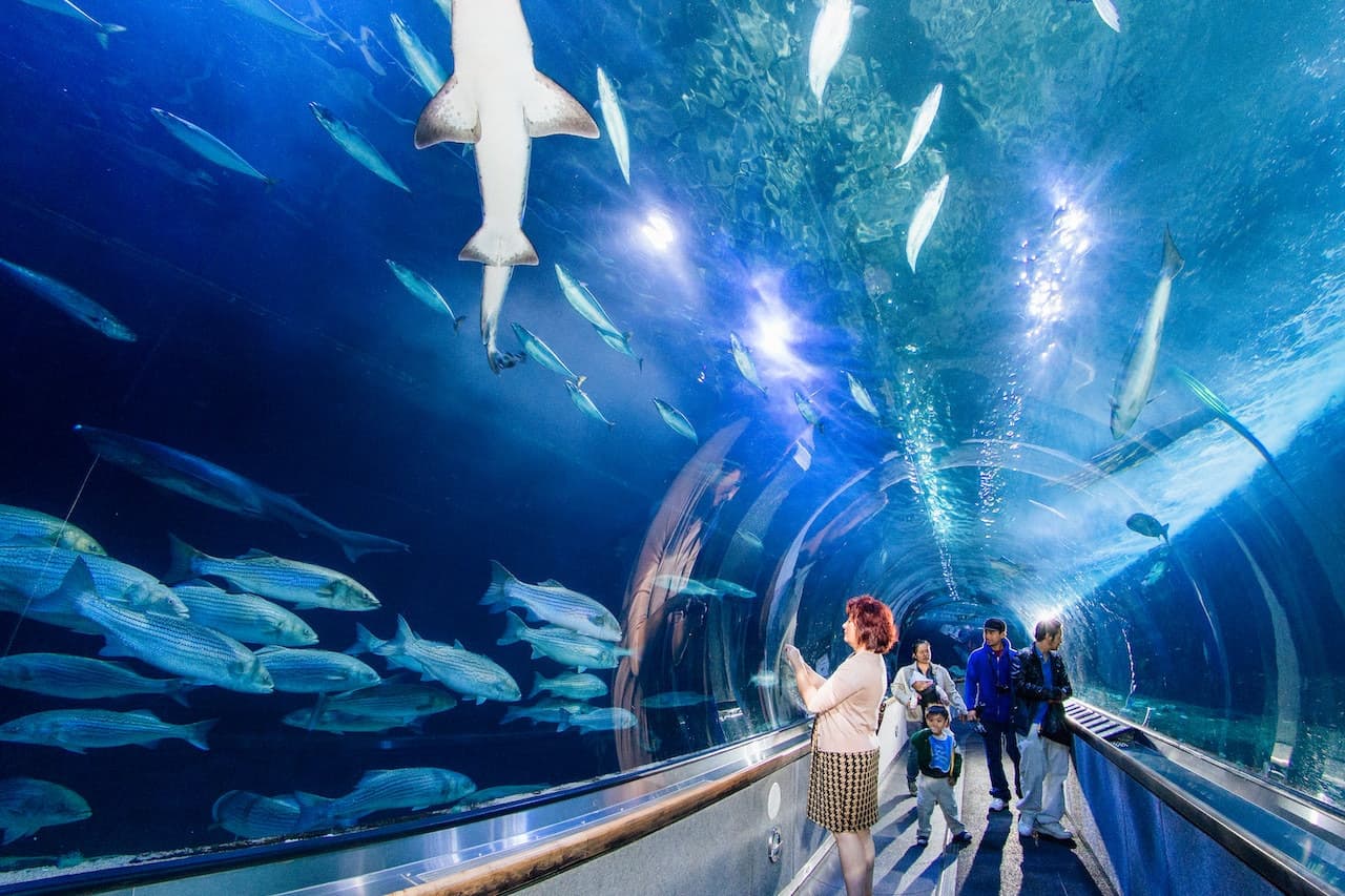 San Francisco CityPASS: Admission to 4 Top Attractions - تصویر 3