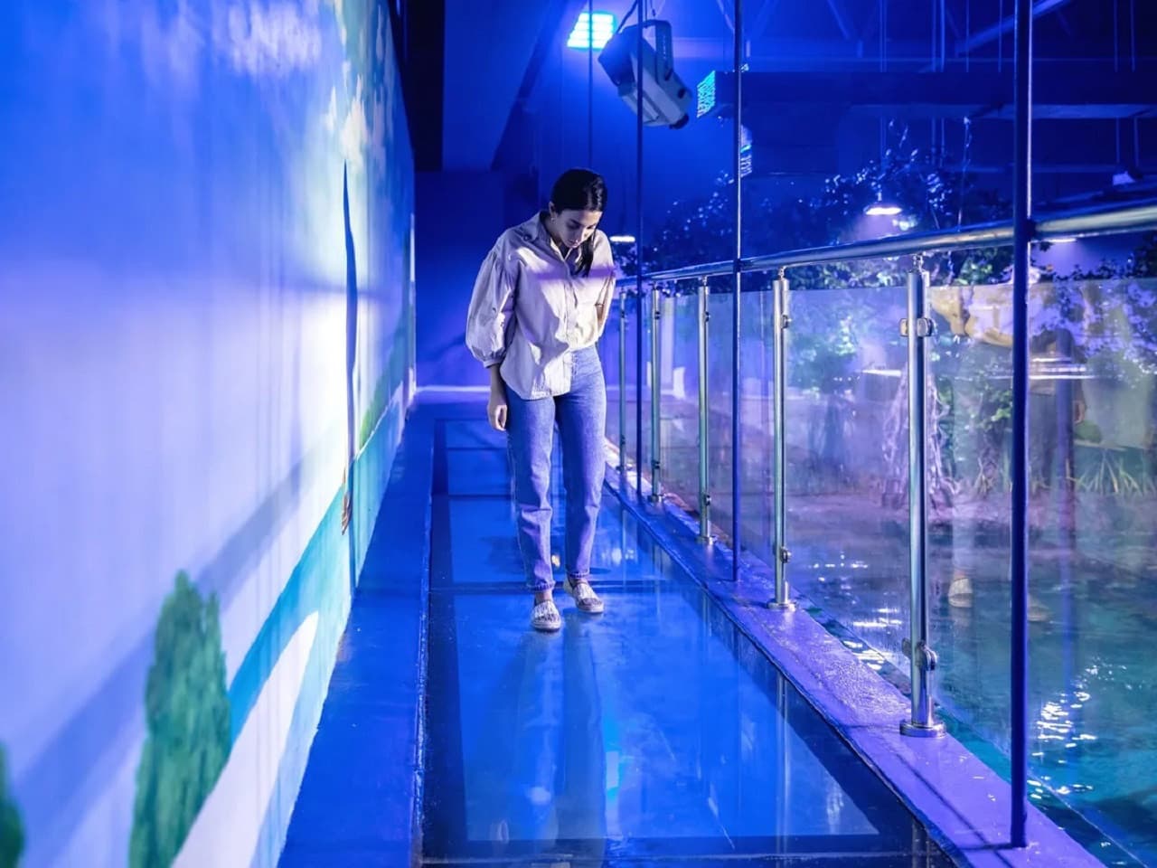 The National Aquarium Abu Dhabi Ticket - تصویر 10