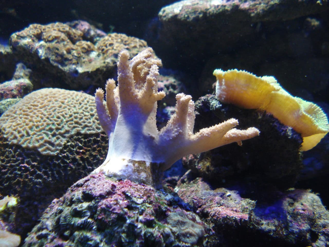 Underwater World Langkawi Ticket - تصویر 8