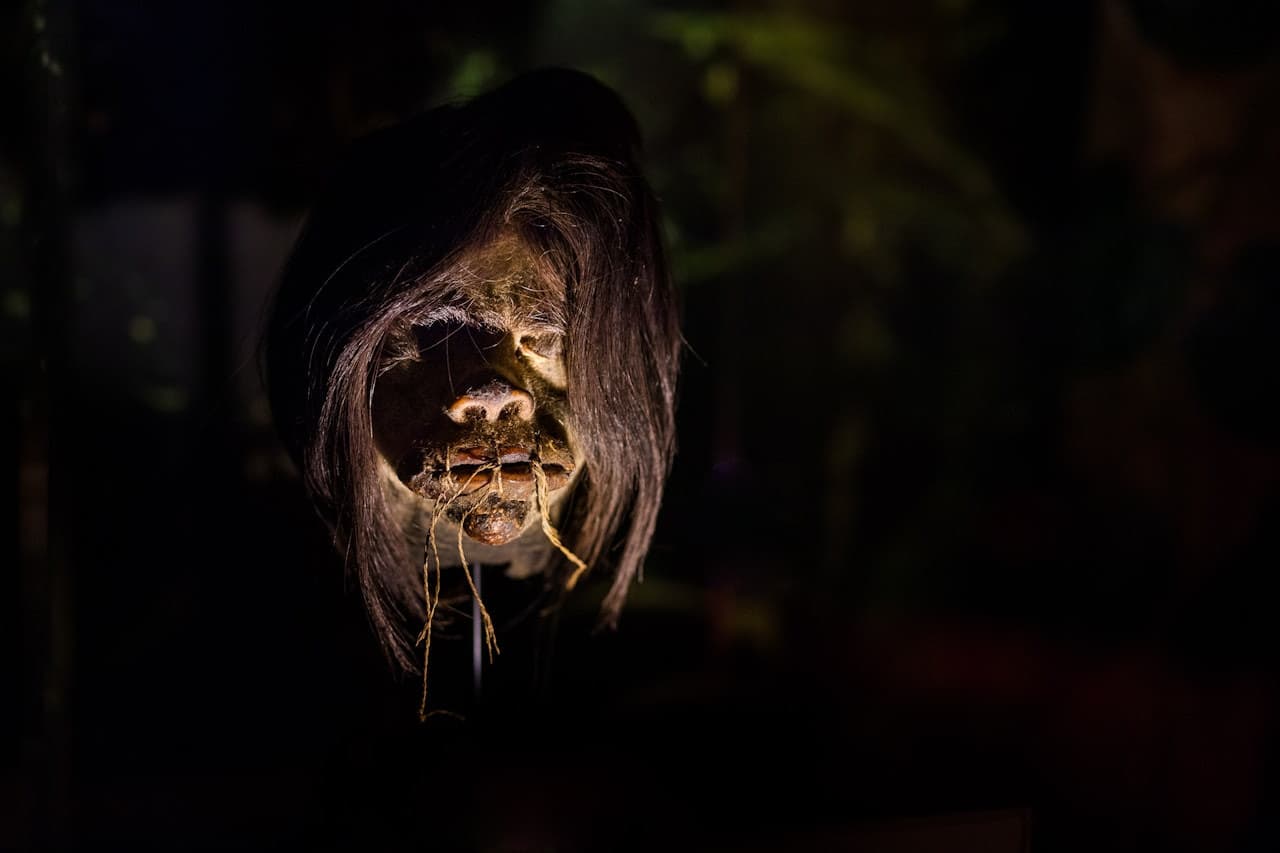 Ripley's Believe It or Not! Amsterdam - تصویر 6