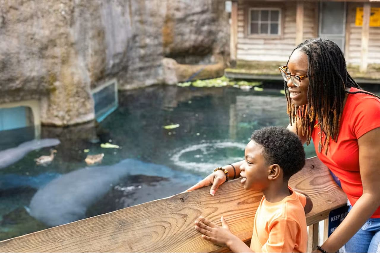 ZooTampa at Lowry Park Ticket - تصویر 5