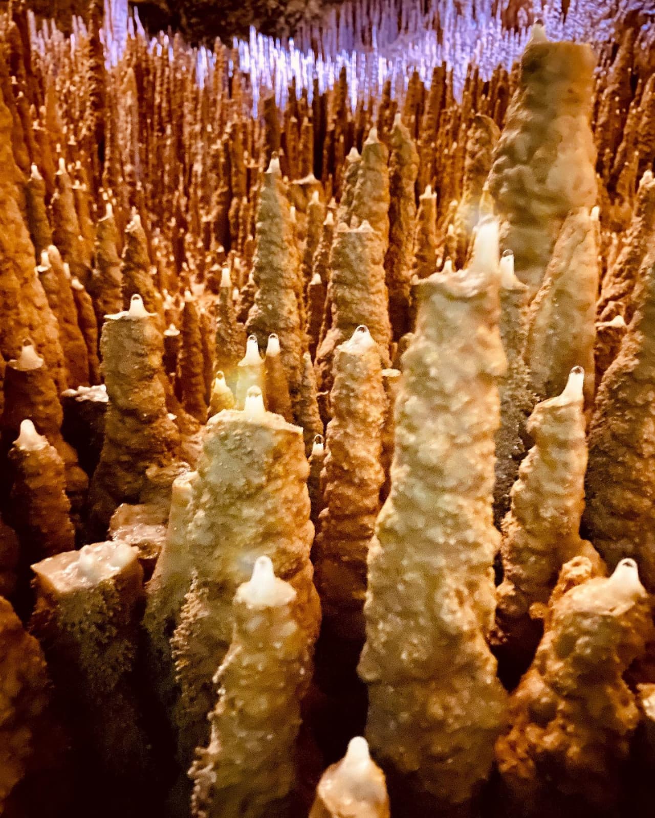 Okinawa World Pass - تصویر 9