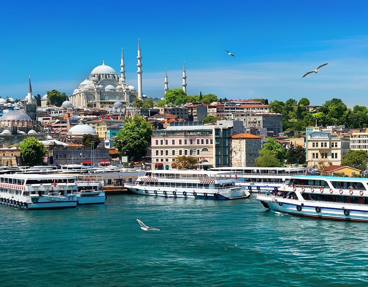 Bosphorus Sightseeing Cruise on a Luxury Yacht - تصویر 6