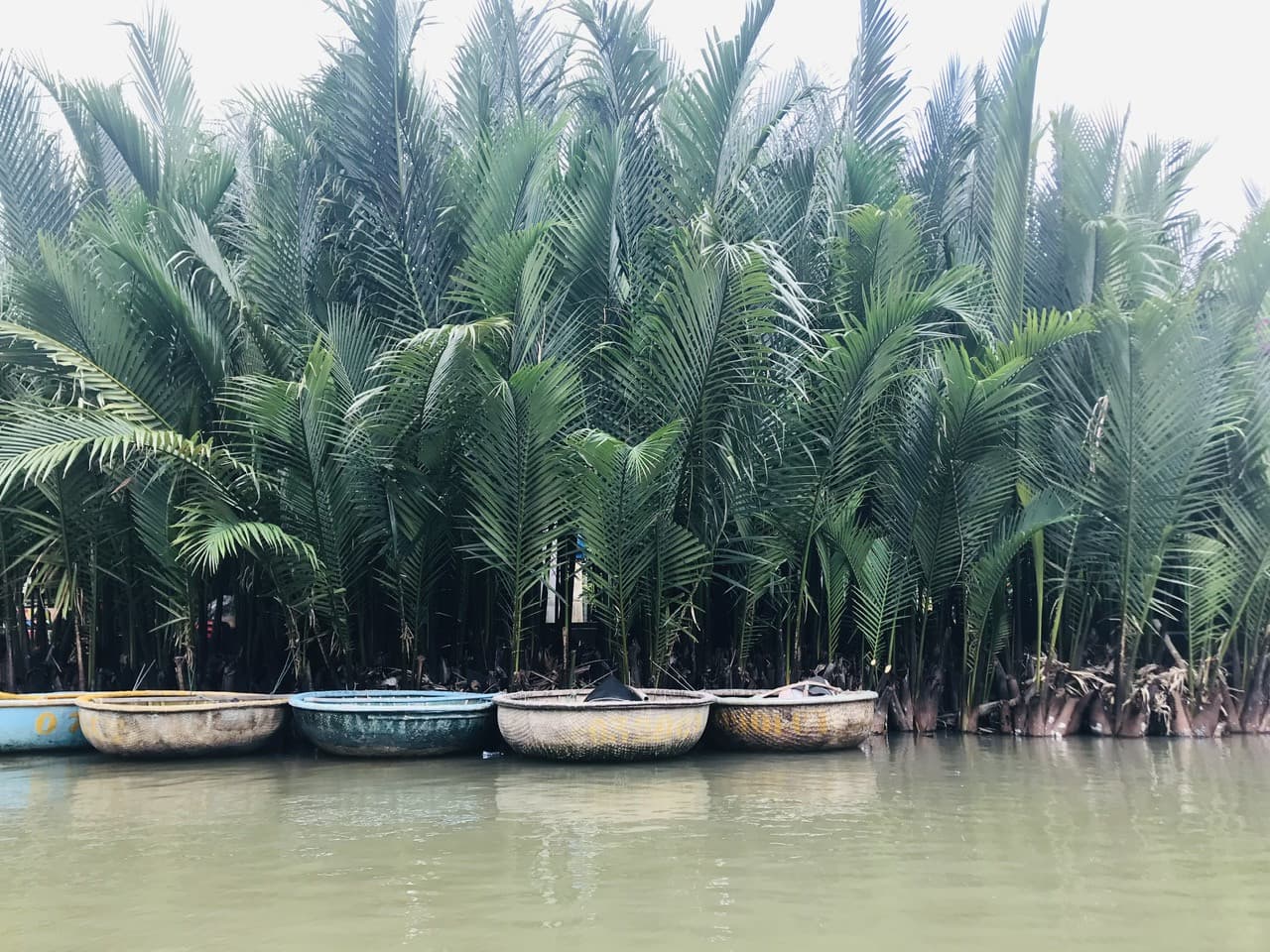 Hoi An Coconut Forest Basket Boat Ride - تصویر 9