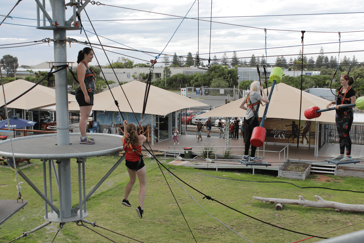 MegaClimb at West Beach Adventure Adelaide - تصویر 6