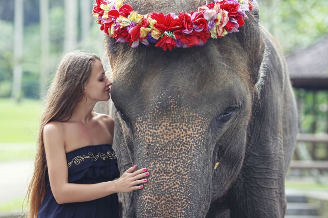 Mason Elephant Park Bali by Mason Adventures (Formerly known as Elephant Safari Park) - تصویر 2