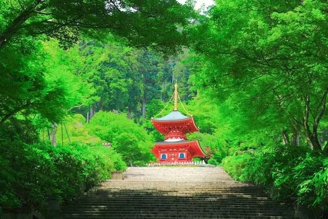 Katsuo-ji Temple Ticket - تصویر 8