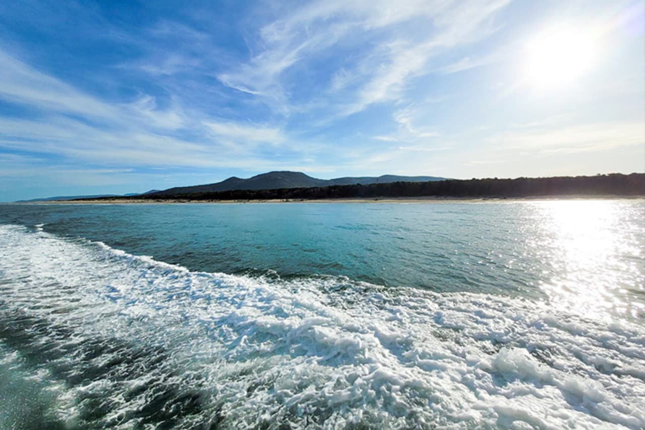 Wilsons Promontory Whale Watching Sightseeing Cruise - تصویر 5