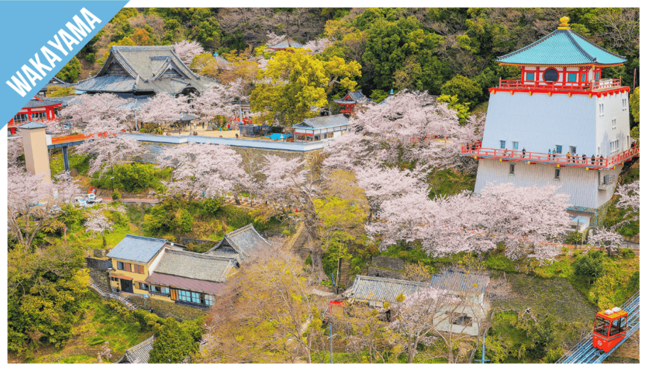 Have Fun in Wakayama Pass - 1 Week Free Pass - تصویر 9
