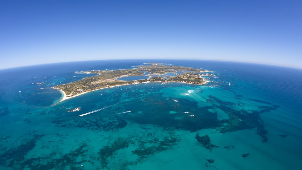 Round Trip SeaLink Ferry to Rottnest Island - تصویر 6