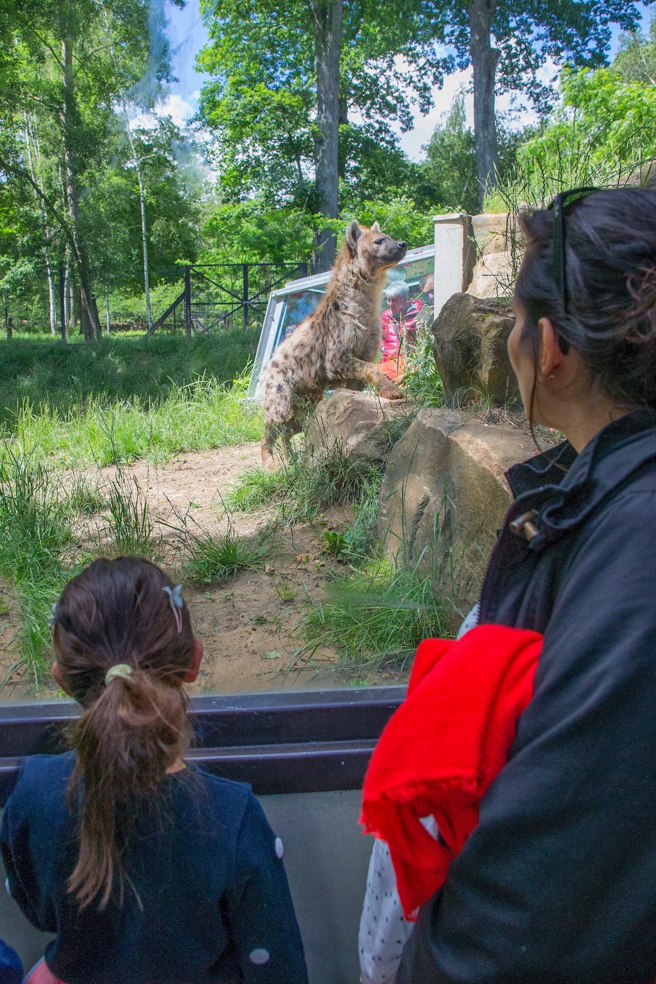 Thoiry ZooSafari: Skip The Line - تصویر 13