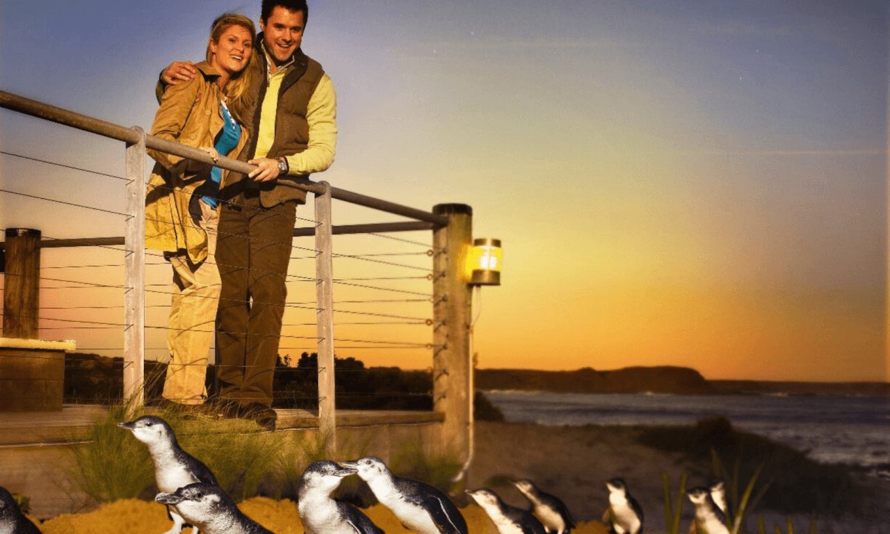 Phillip Island with Penguin Parade Eco Tour - تصویر 15