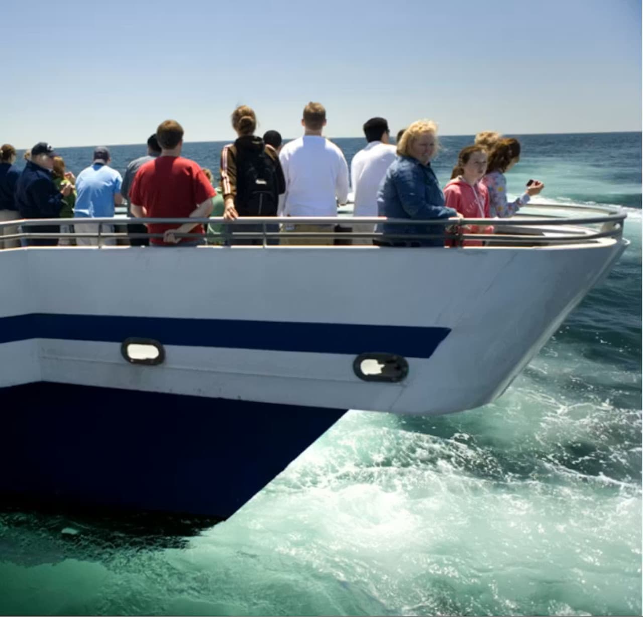 Boston Harbor Whale Watch Cruise - تصویر 3