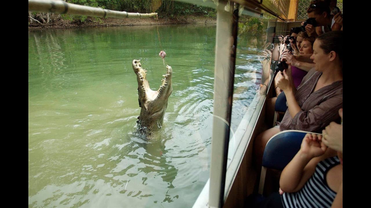 Hartley's Crocodile Adventures and Kuranda Tour from Port Douglas - تصویر اصلی