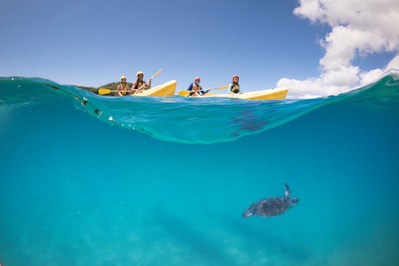 Byron Bay Kayaking Experience with Dolphins - تصویر 2