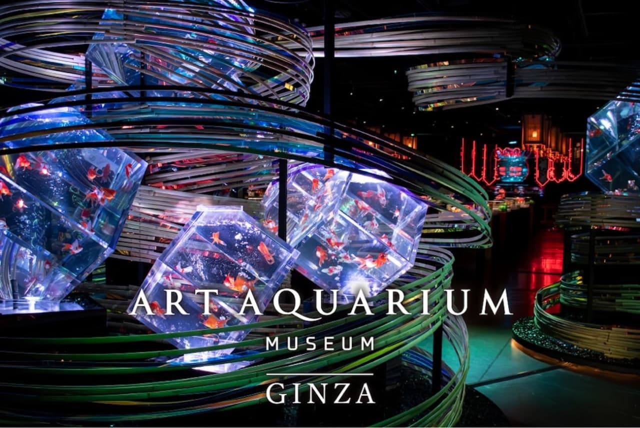 Art Aquarium Museum GINZA Ticket - تصویر اصلی