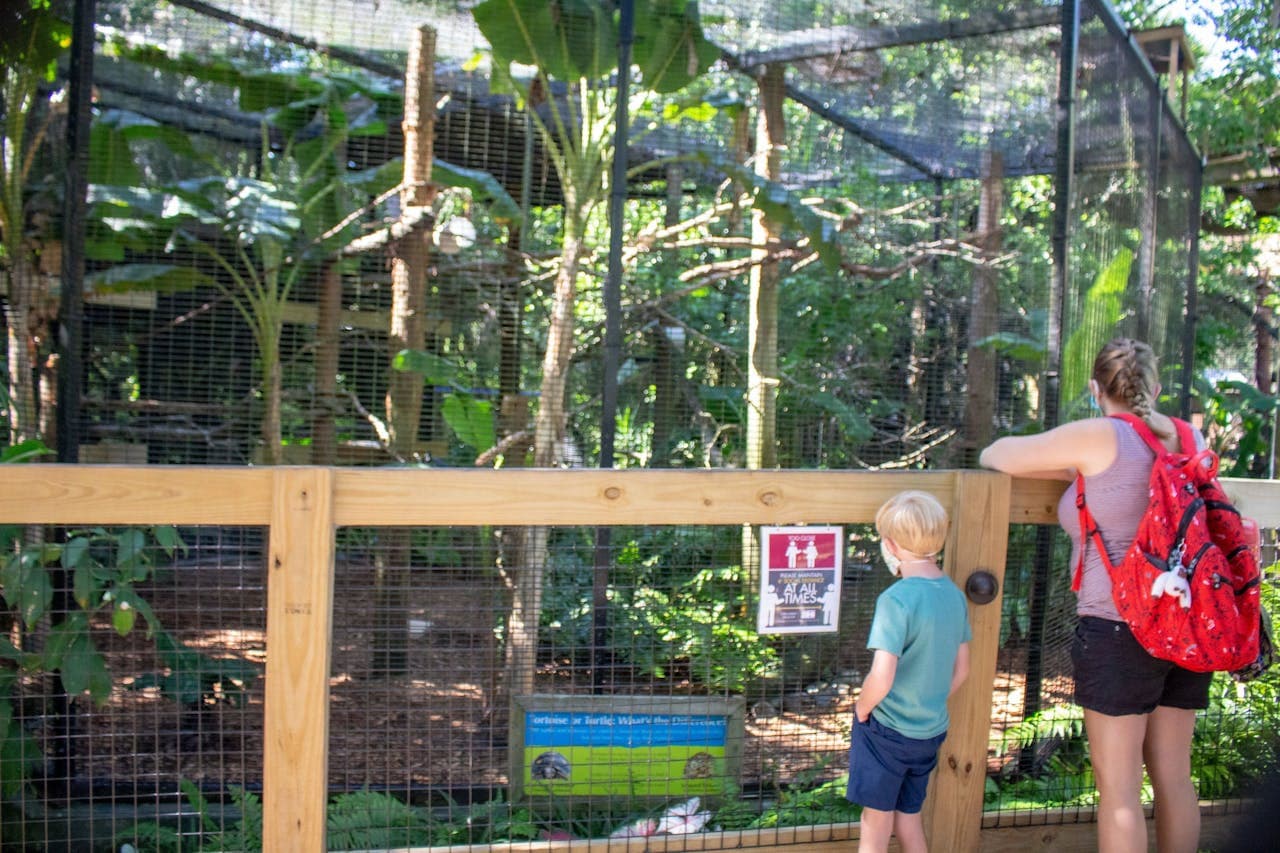 Central Florida Zoo & Botanical Gardens Ticket - تصویر 9