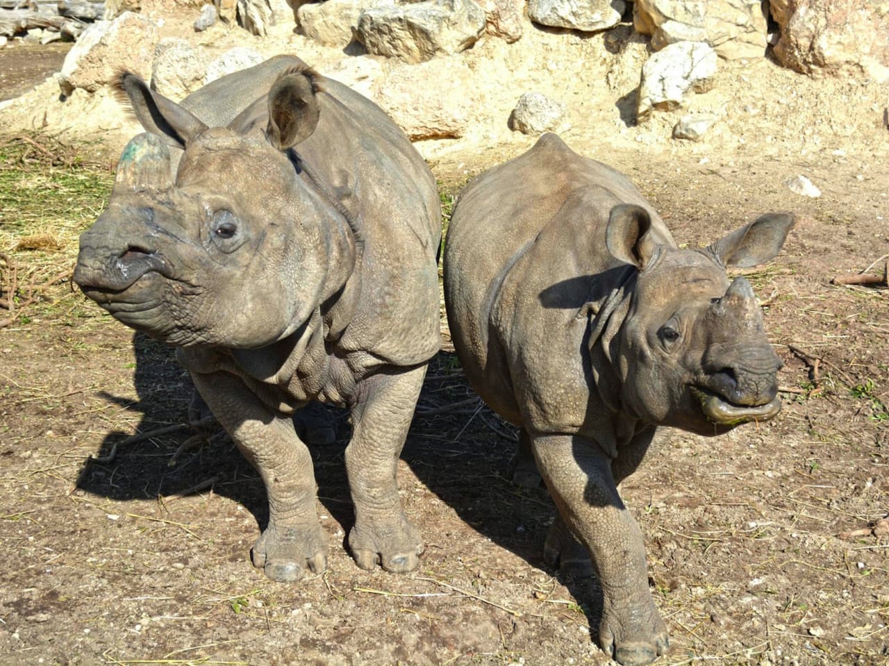 Terra Natura Benidorm: Entry Ticket - تصویر 3
