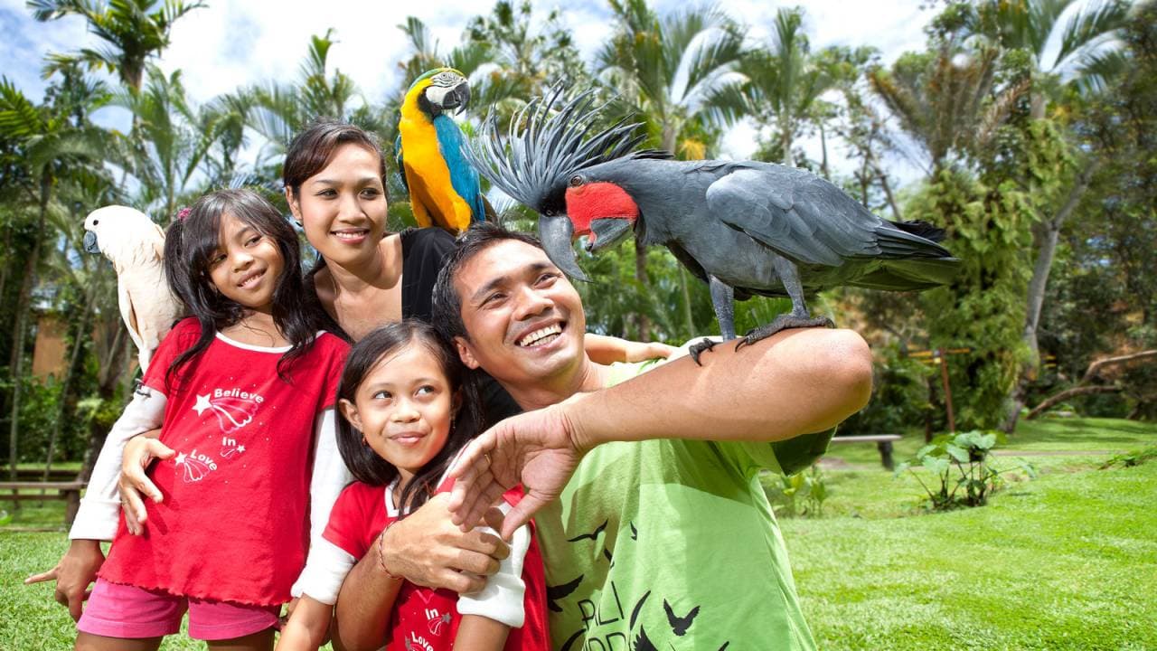 Bali Bird Park Ticket - تصویر 2