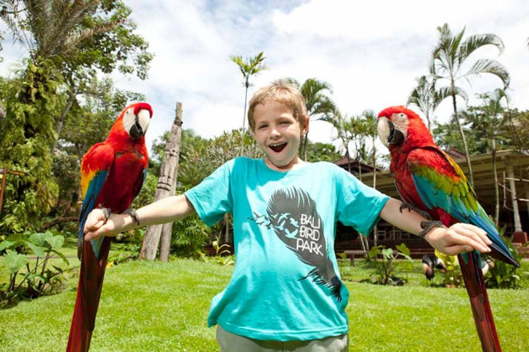 Bali Bird Park Ticket - تصویر 10