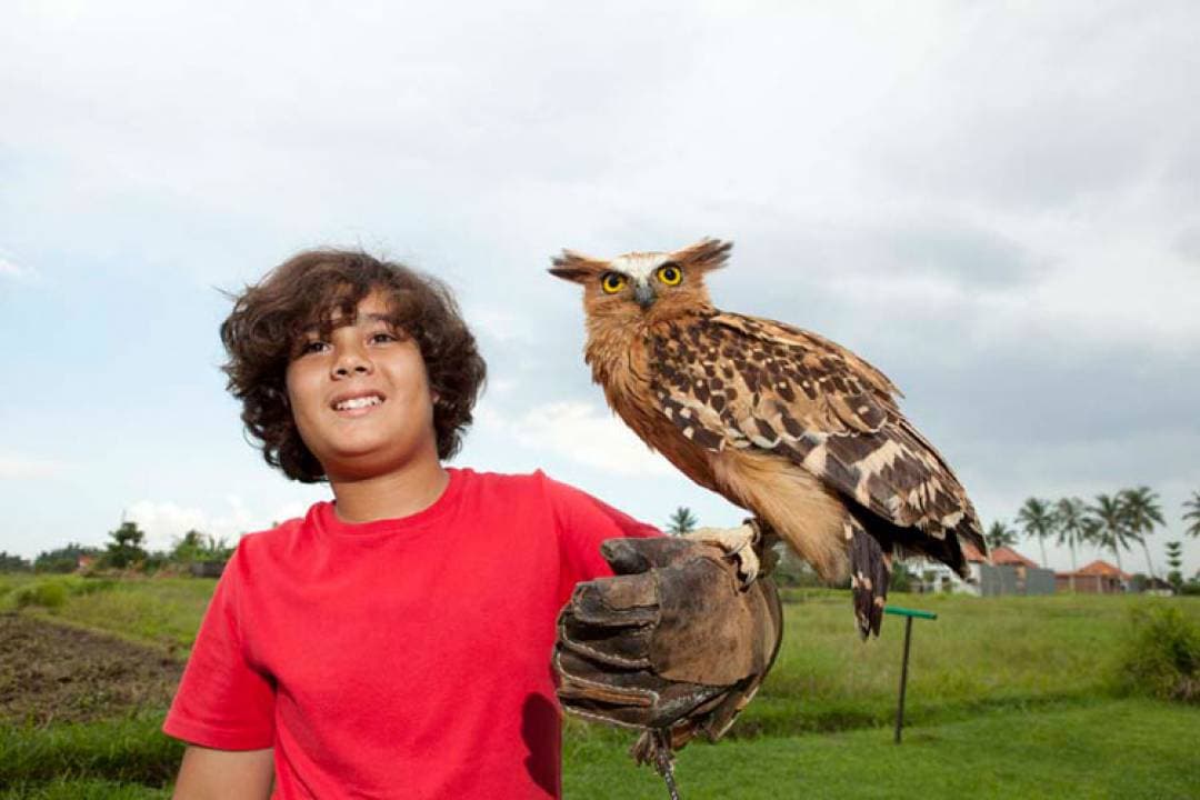 Bali Bird Park Ticket - تصویر 11