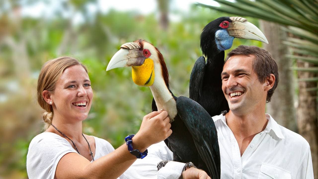 Bali Bird Park Ticket - تصویر اصلی