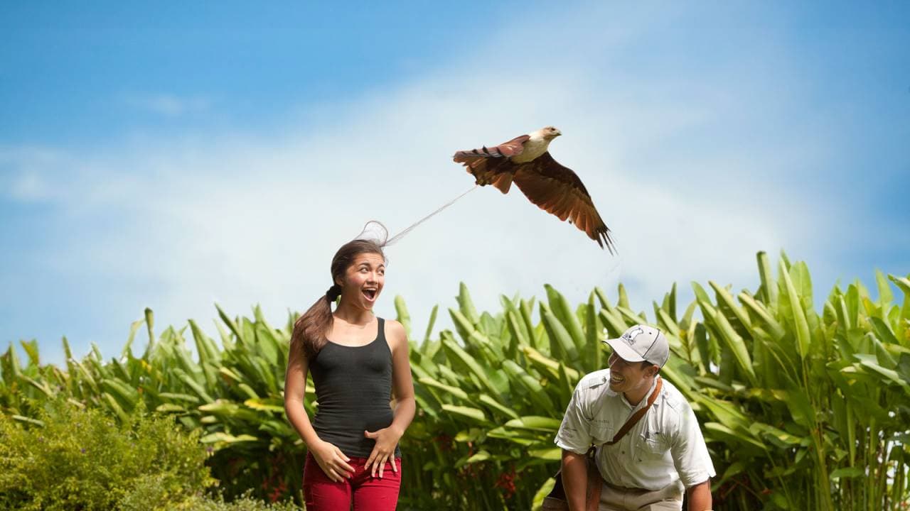 Bali Bird Park Ticket - تصویر 3