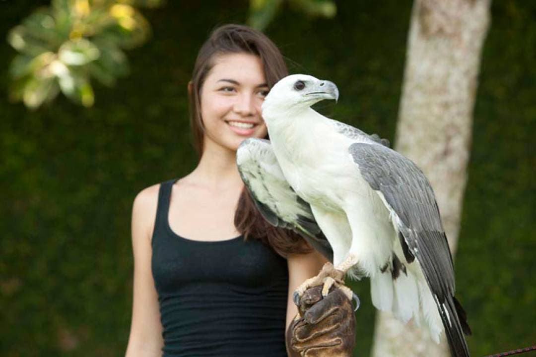 Bali Bird Park Ticket - تصویر 9