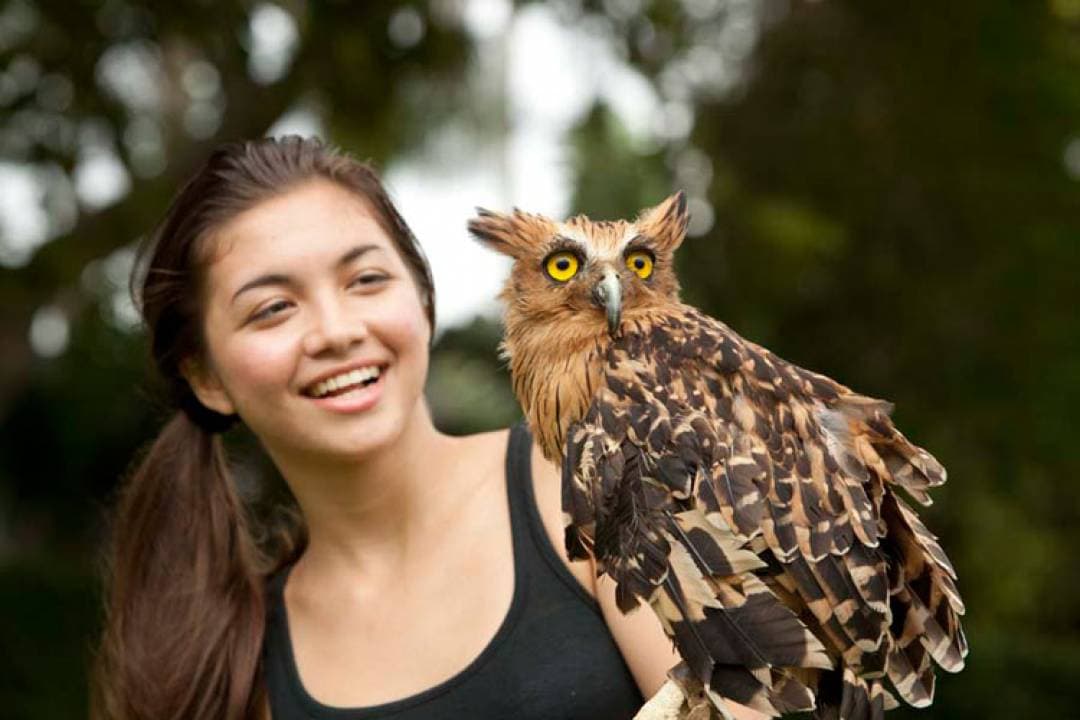 Bali Bird Park Ticket - تصویر 7