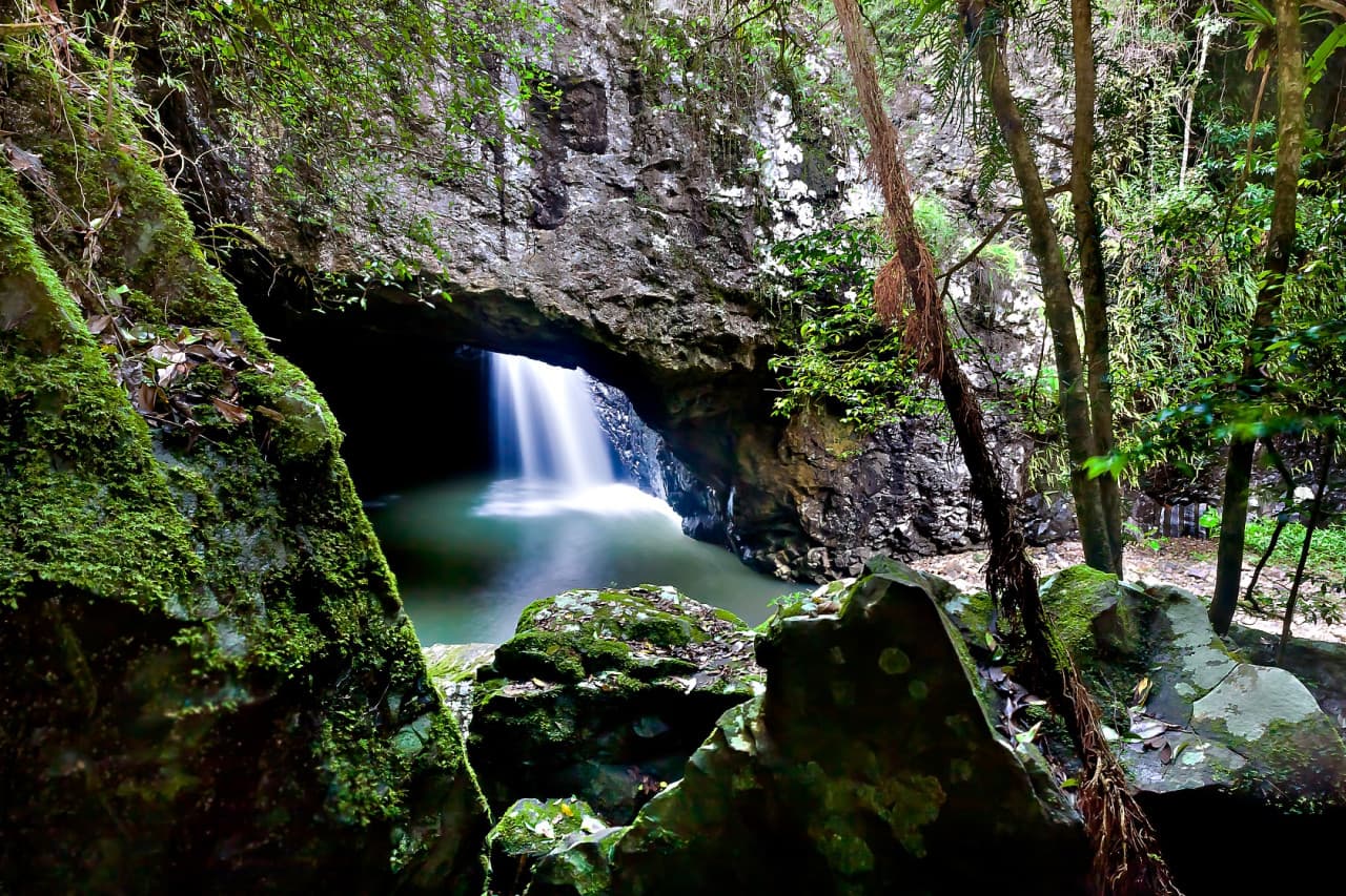 Springbrook National Park Tour: Natural Bridge and Waterfalls - تصویر 6