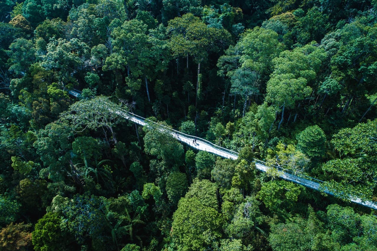 The Habitat Penang Hill Ticket - تصویر 10