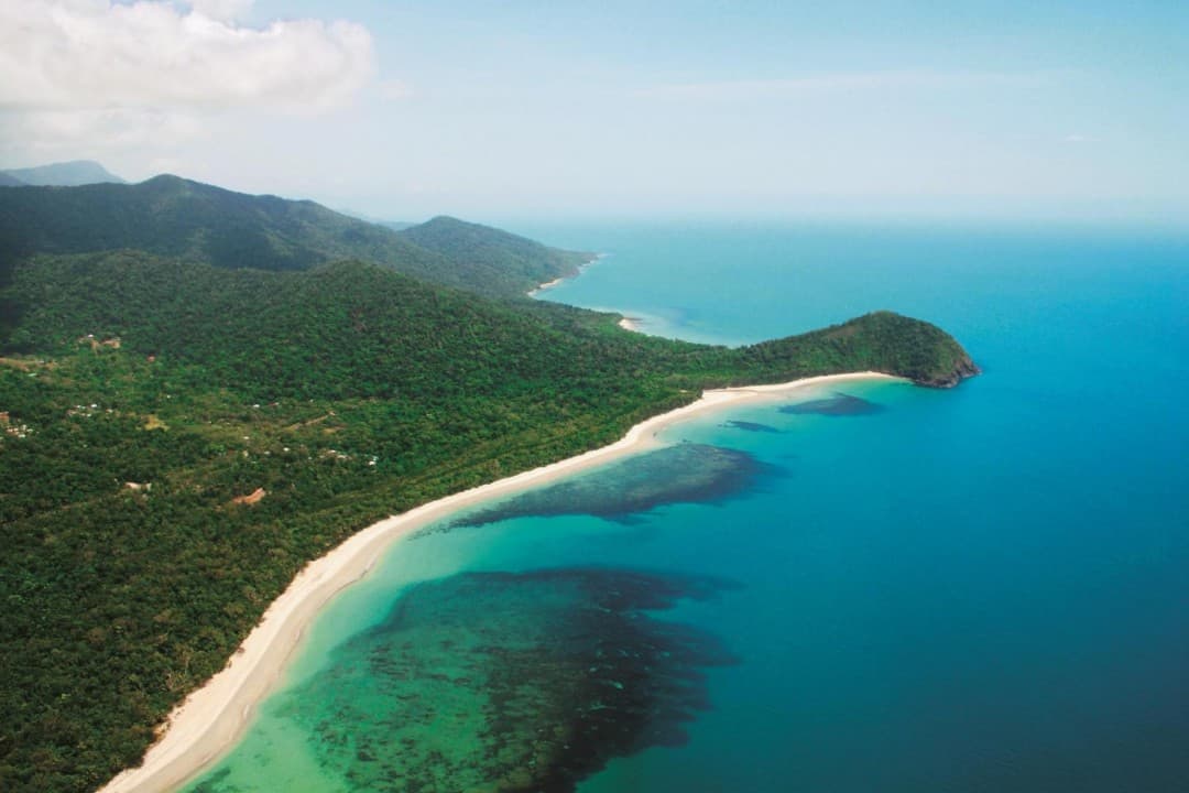Cape Tribulation and Daintree Wilderness Full-Day Tour - تصویر 8