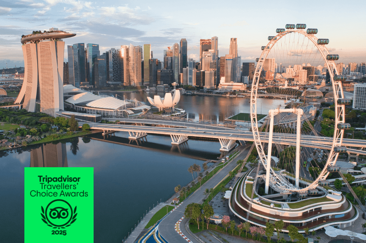 COMBO: Singapore Flyer + Gardens by the Bay Ticket - تصویر 2