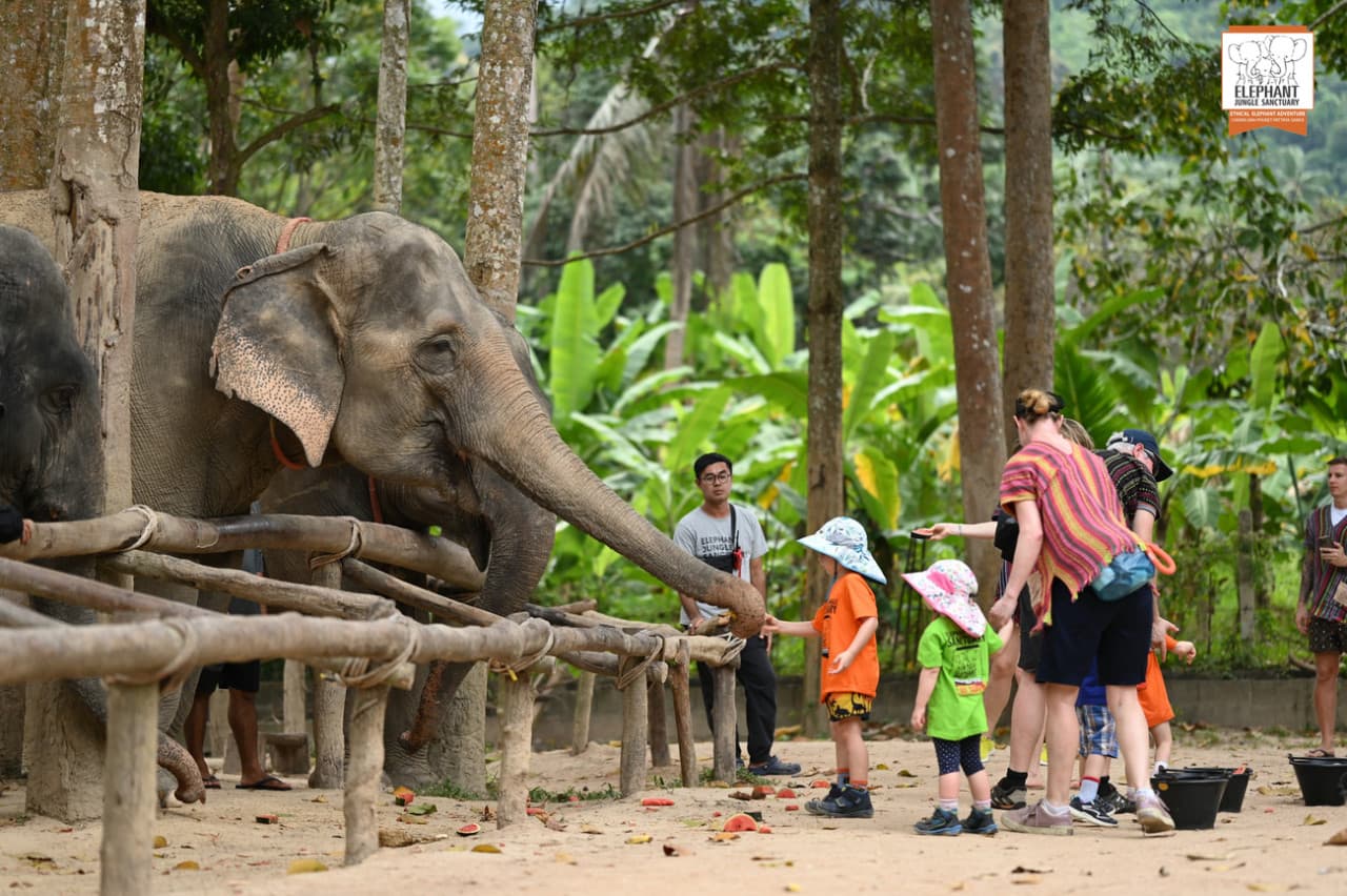Elephant Jungle Sanctuary Koh Samui - تصویر اصلی