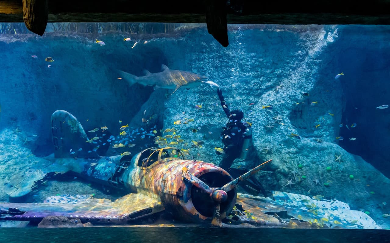 COMBO: The National Aquarium + Louvre Abu Dhabi Tickets - تصویر اصلی