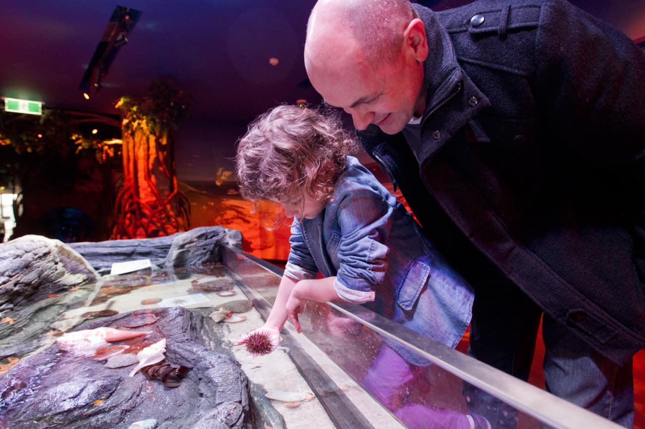 SEA LIFE Melbourne Aquarium Direct Entry Ticket - تصویر 8