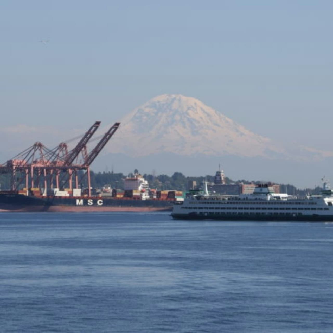 Seattle Harbor Cruise - تصویر 14