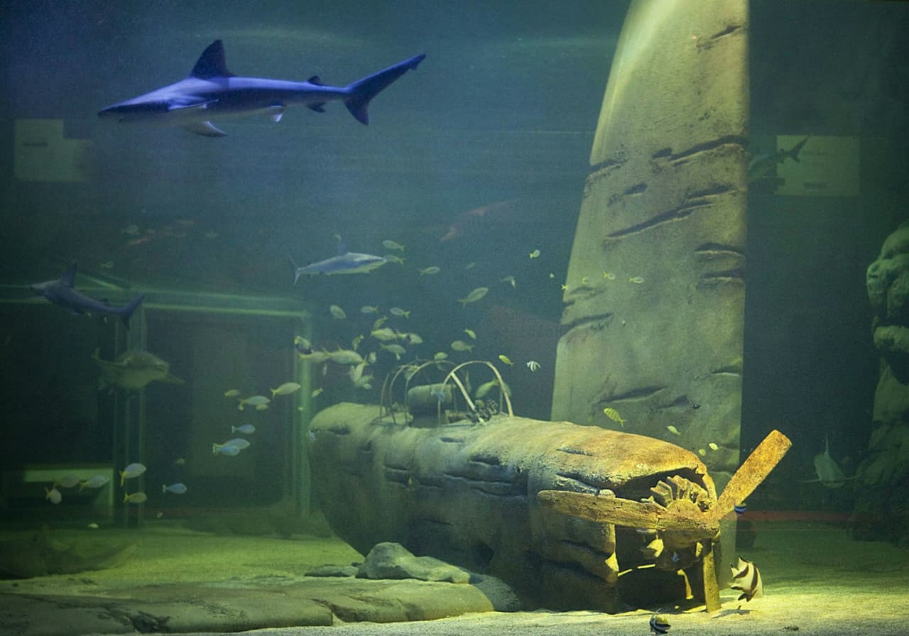 Seaquarium Le Grau-du-Roi Ticket - تصویر 7