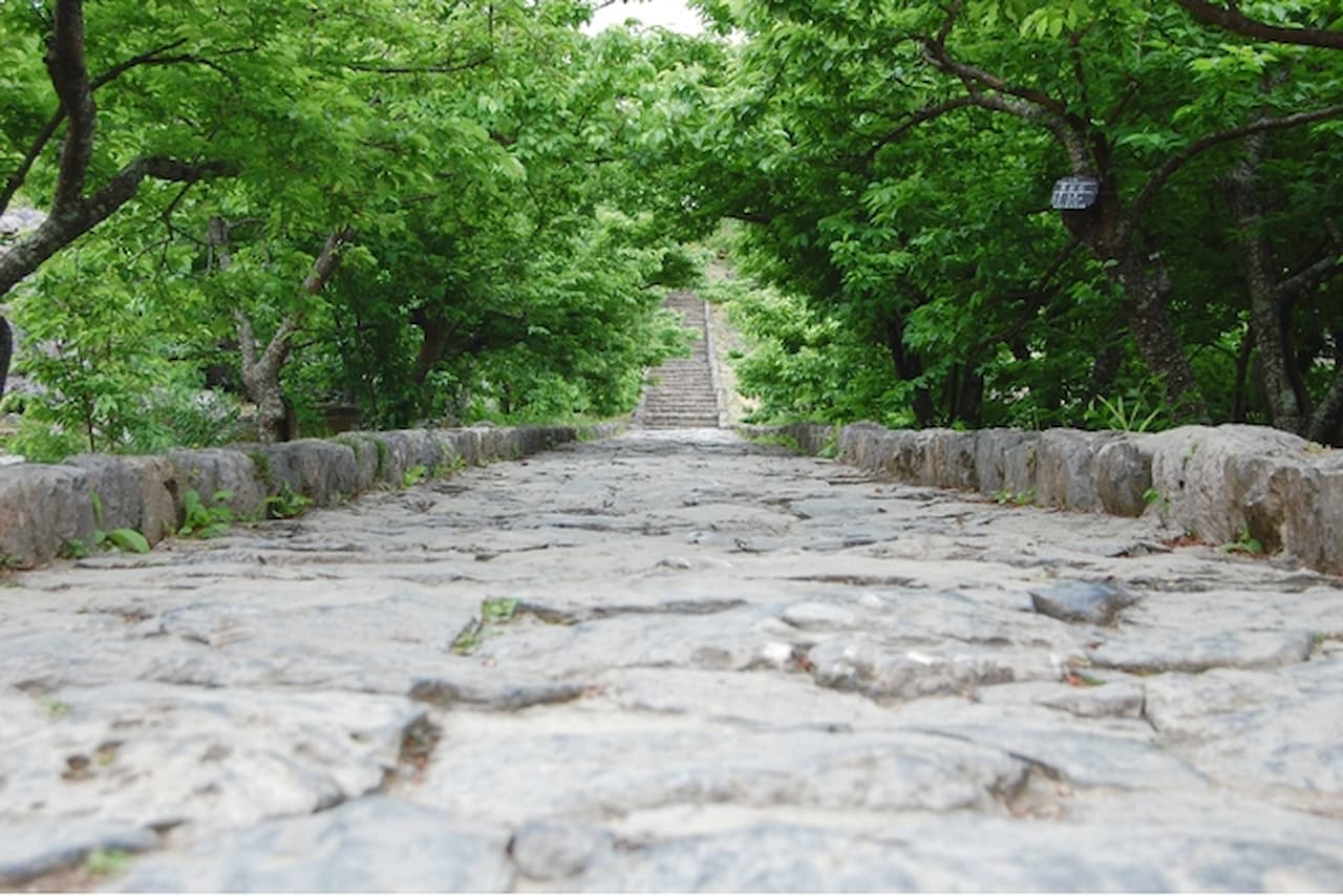 Nakijin Castle Ruins Ticket - تصویر 2