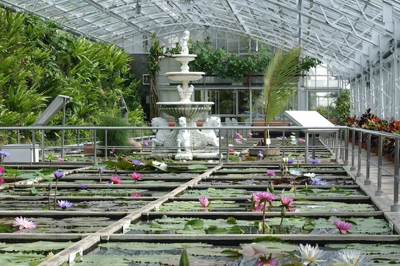 Atagawa Tropical and Alligator Garden Ticket - تصویر 4