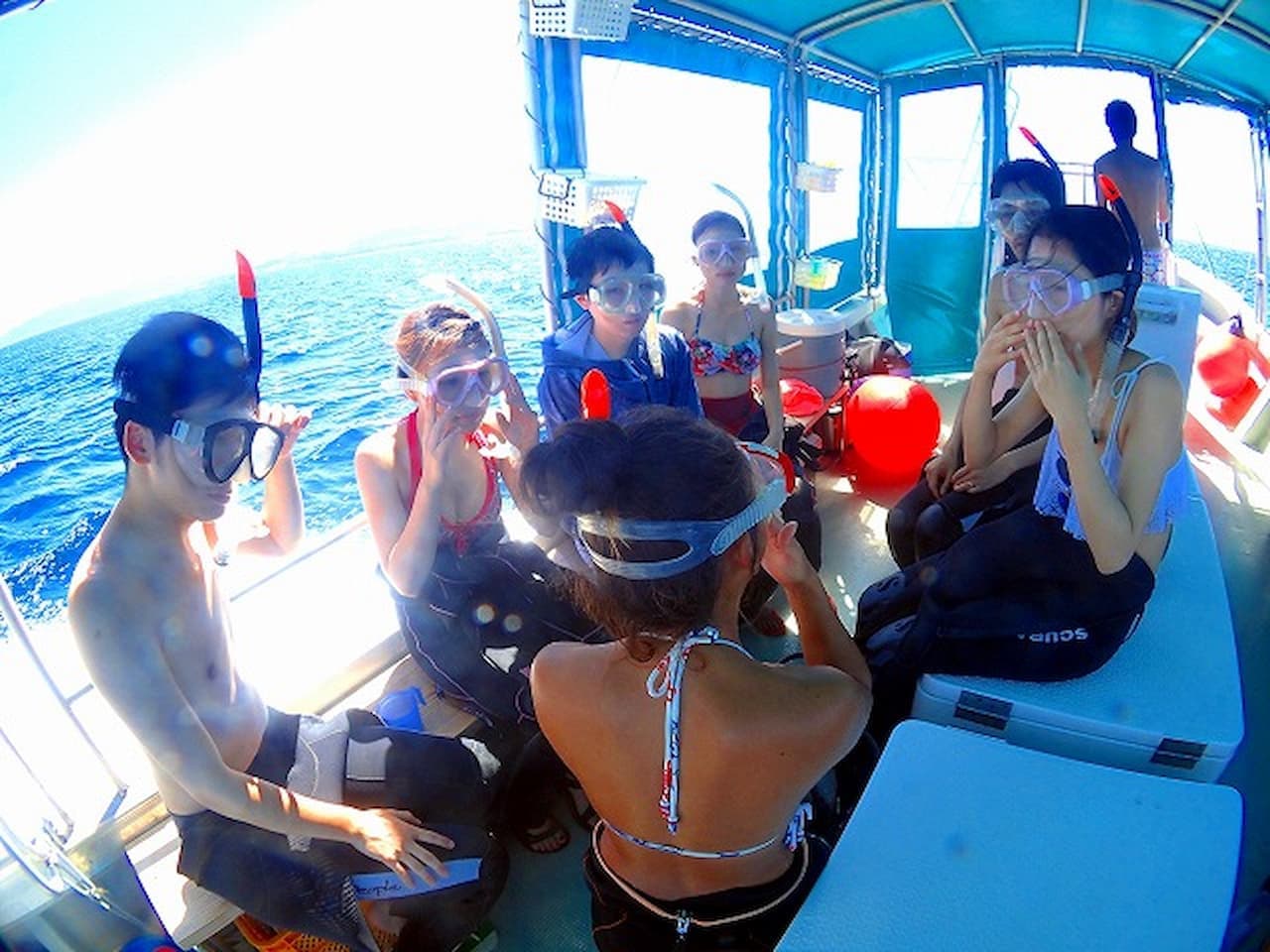 Half-Day Morning Snorkeling Tour with Phantom Island Visit - تصویر 11