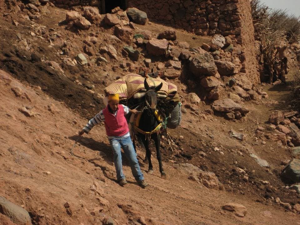 Berber Trail Full-Day 4WD Tour from Marrakech - تصویر اصلی