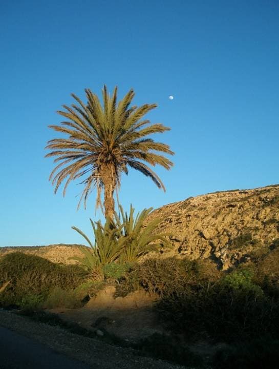 Quad Ride in Marrakech with Round Trip Transfers - تصویر 3