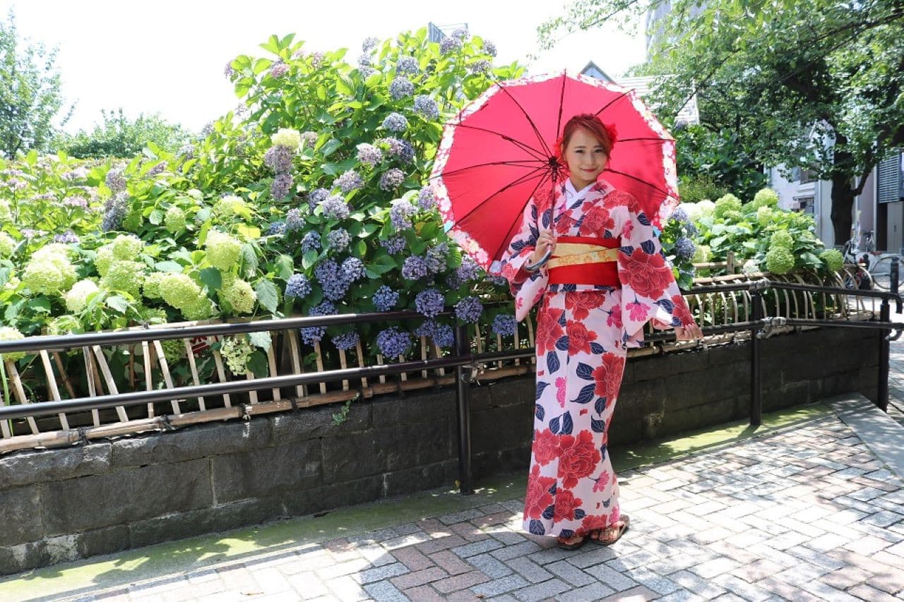 Kimono Rental in Tokyo, Asakusa - تصویر 24