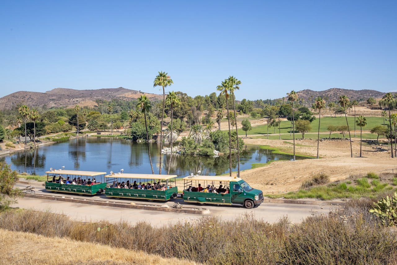San Diego Zoo Safari Park Ticket - تصویر 2