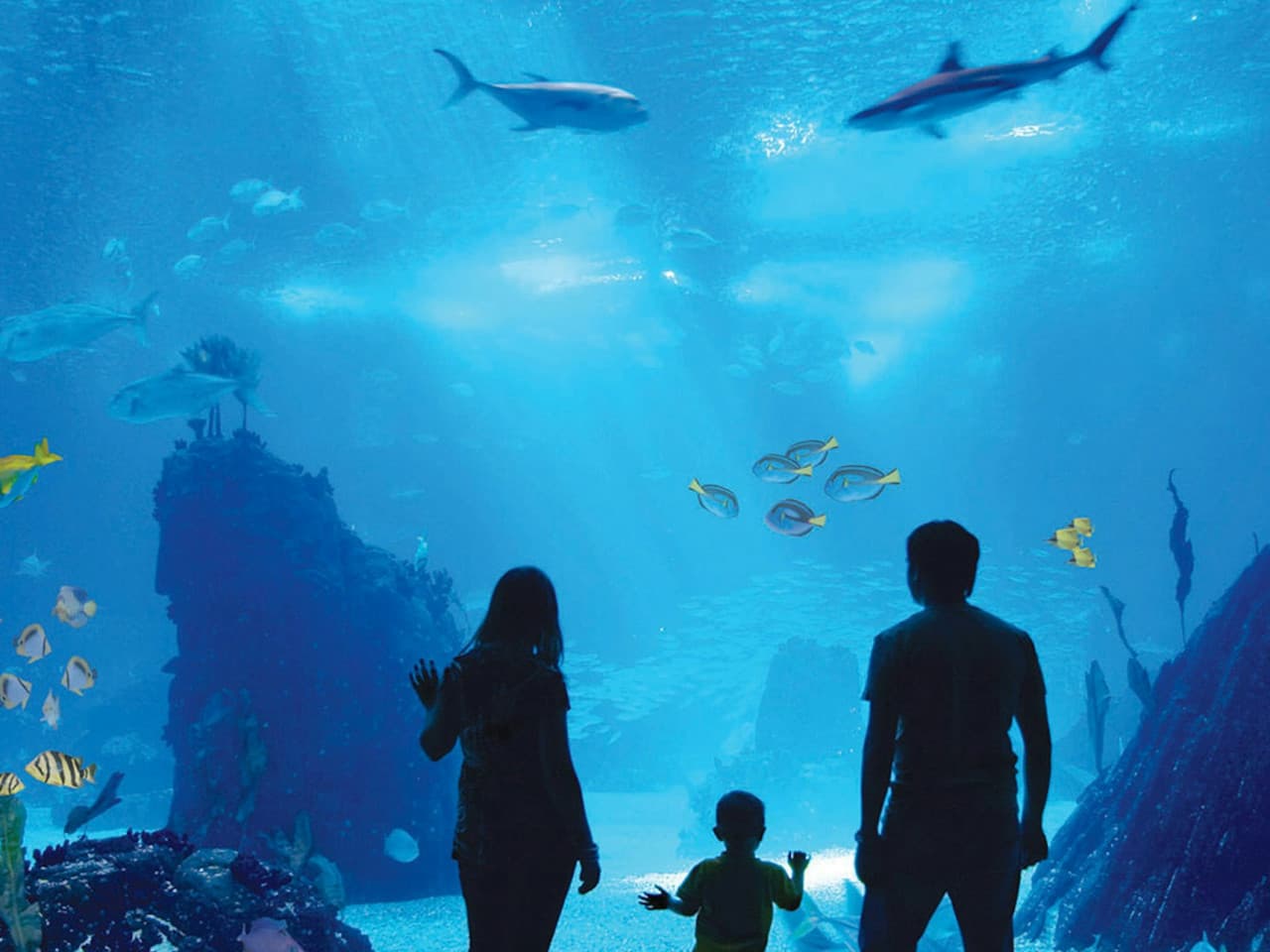 Antalya Aquarium and Face 2 Face Wax Museum Ticket - تصویر 2