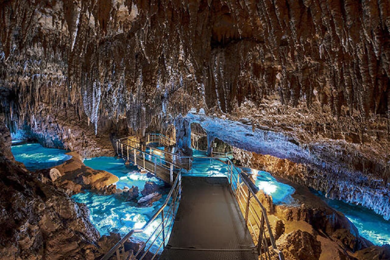 Okinawa Churaumi TokuToku 5 Pass - تصویر 13