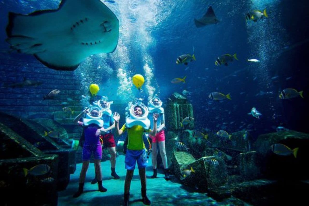 Atlantis Dubai Ticket - تصویر 12