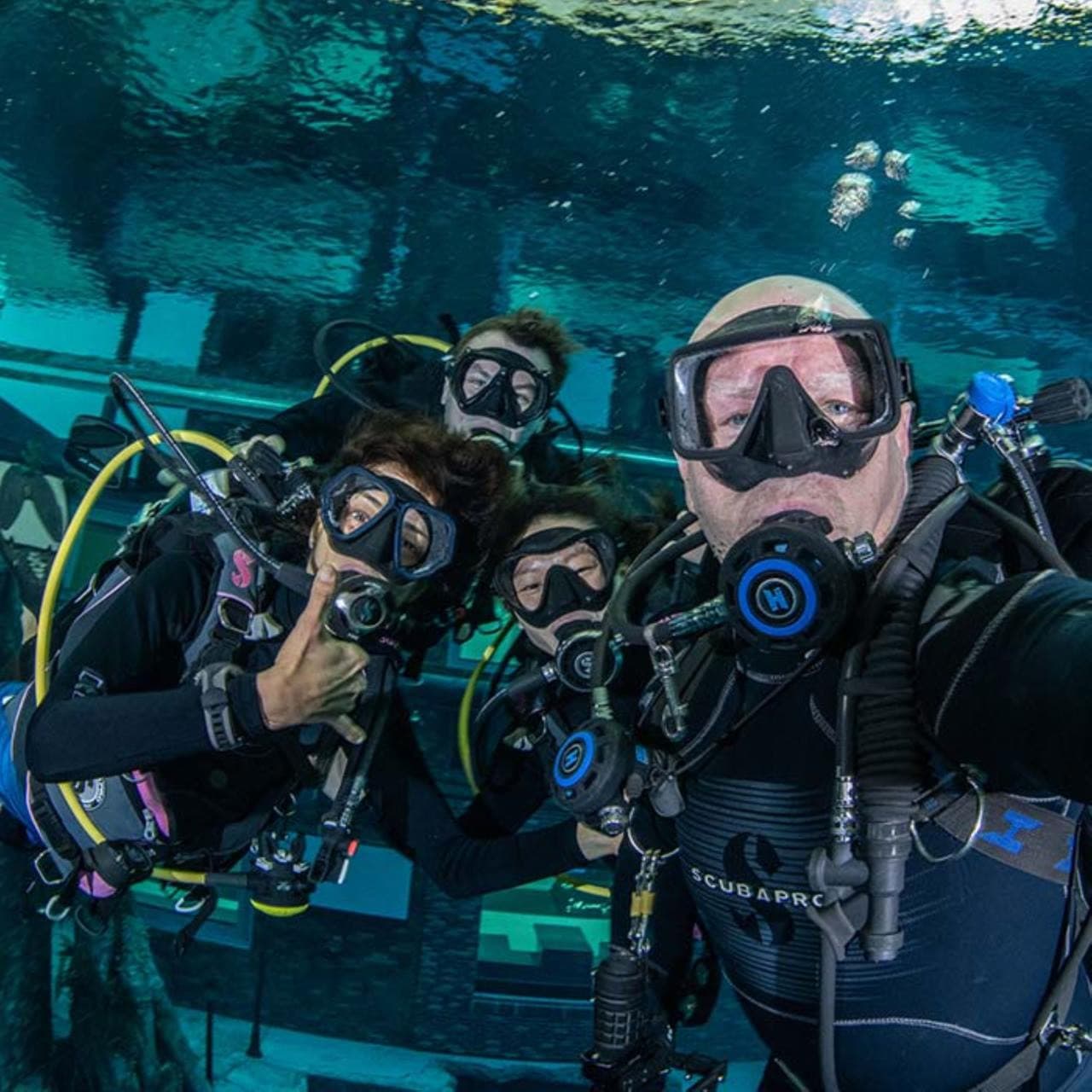 Scuba Diving and Snorkelling at Deep Dive Dubai - تصویر 5