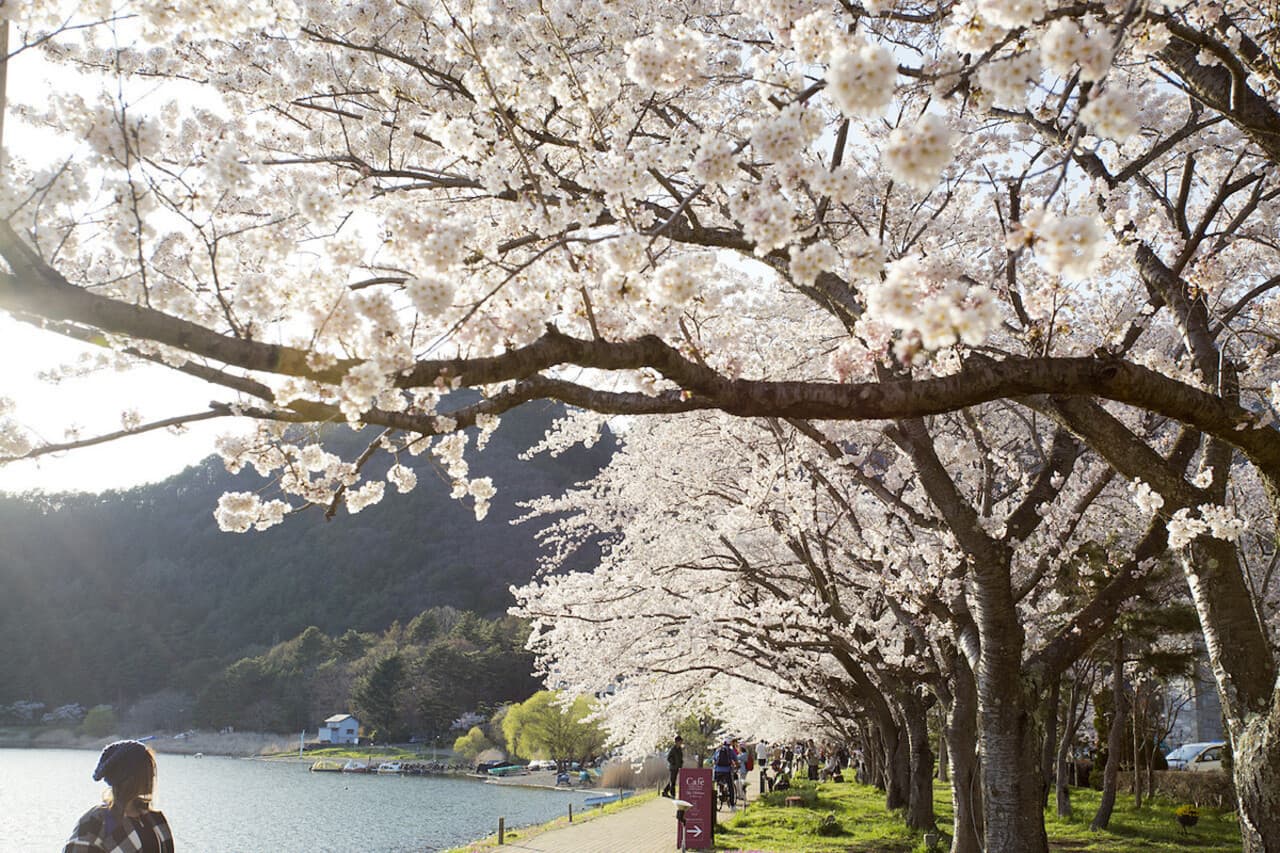 Mount Fuji Day Tour with Kawaguchiko Lake - تصویر 4
